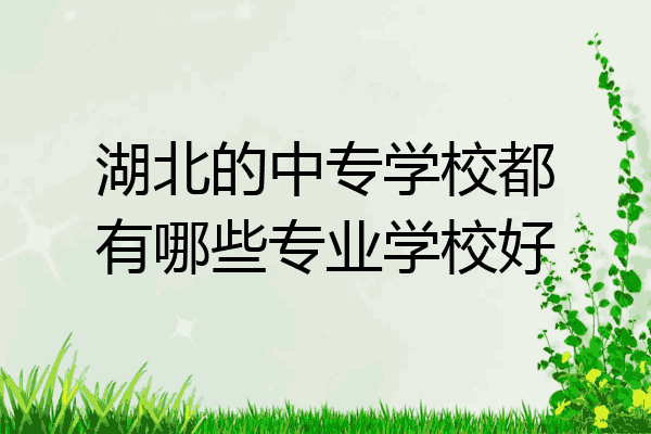 湖北的中专学校都有哪些专业学校好