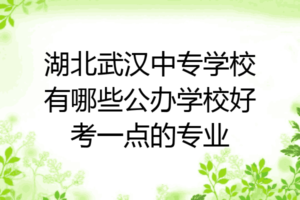 湖北武汉中专学校有哪些公办学校好考一点的专业