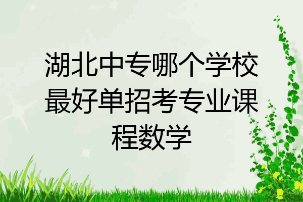 湖北中专哪个学校最好单招考专业课程数学