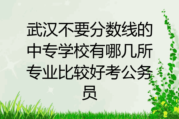 武汉不要分数线的中专学校有哪几所专业比较好考公务员