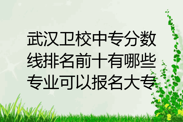 武汉卫校中专分数线排名前十有哪些专业可以报名大专