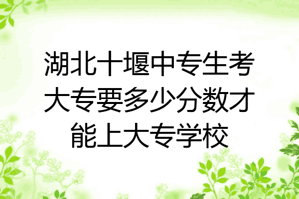 湖北十堰中专生考大专要多少分数才能上大专学校