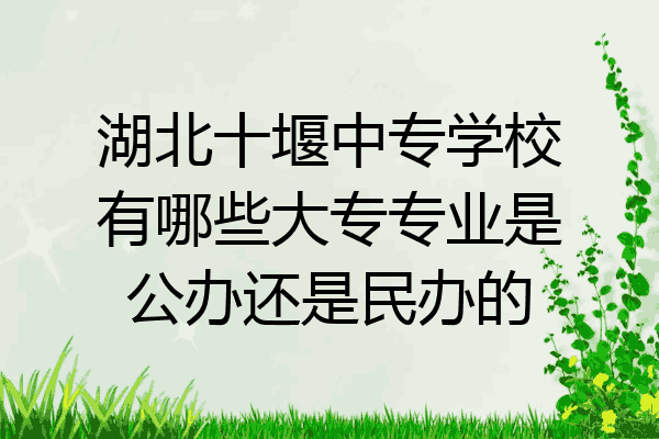 湖北十堰中专学校有哪些大专专业是公办还是民办的