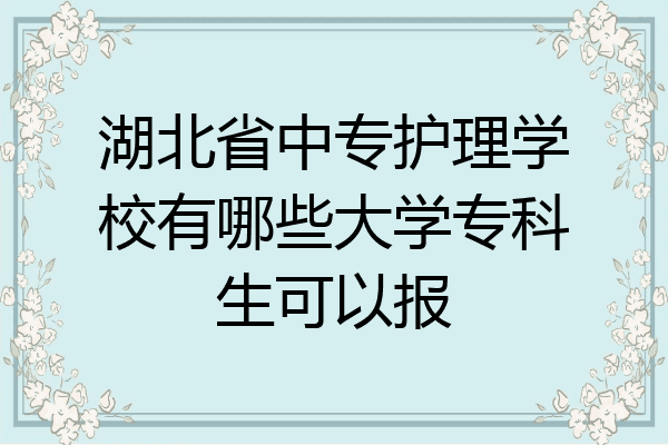 湖北省中专护理学校有哪些大学专科生可以报