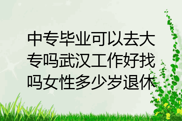中专毕业可以去大专吗武汉工作好找吗女性多少岁退休