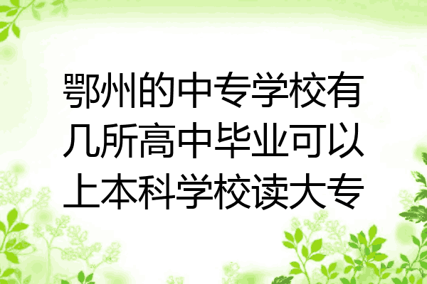 鄂州的中专学校有几所高中毕业可以上本科学校读大专