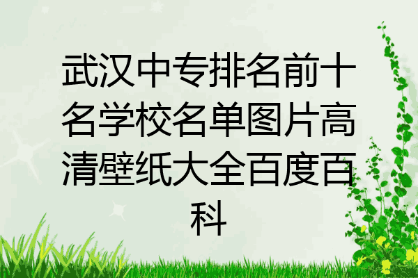 武汉中专排名前十名学校名单图片高清壁纸大全百度百科