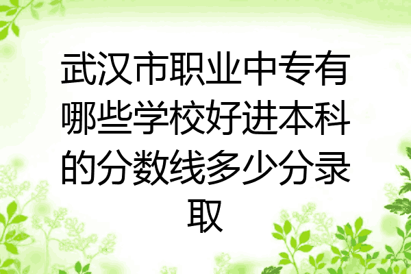 武汉市职业中专有哪些学校好进本科的分数线多少分录取