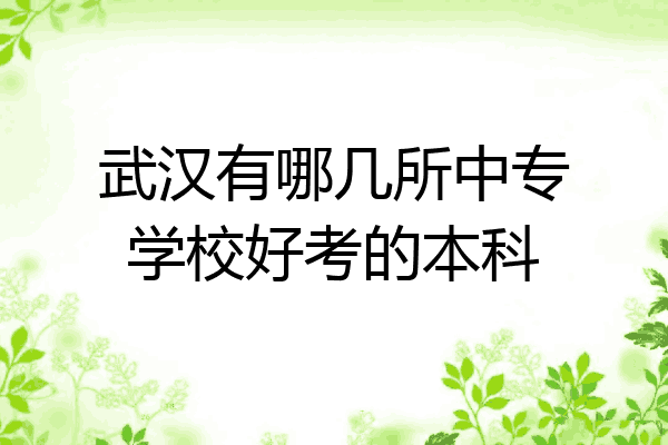武汉有哪几所中专学校好考的本科