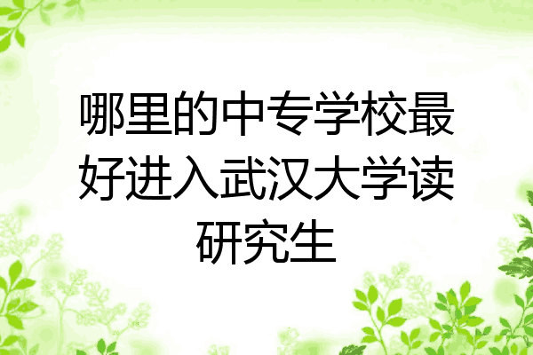 哪里的中专学校最好进入武汉大学读研究生