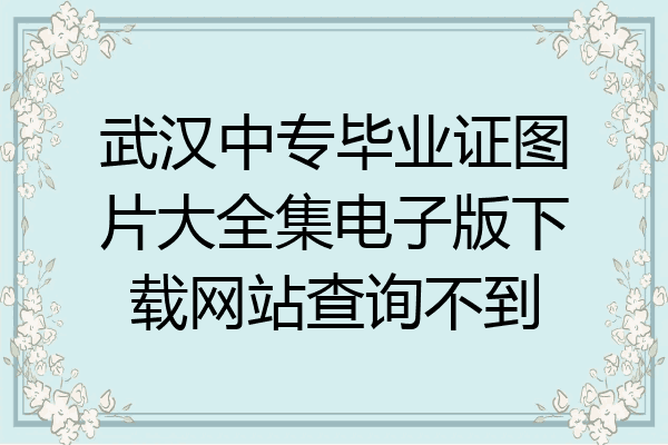 武汉中专毕业证图片大全集电子版下载网站查询不到