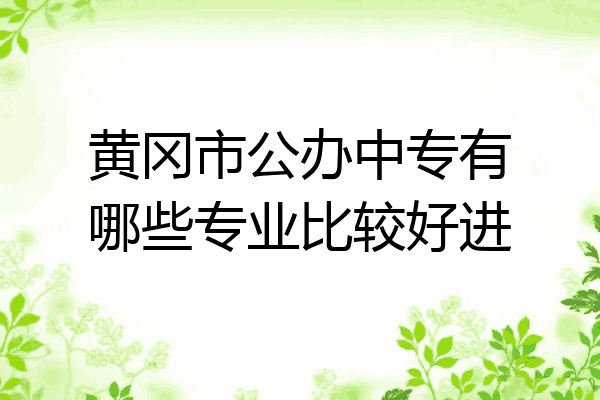 黄冈市公办中专有哪些专业比较好进