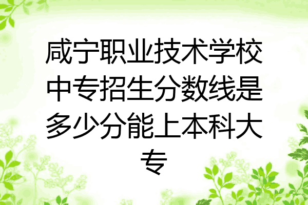咸宁职业技术学校中专招生分数线是多少分能上本科大专