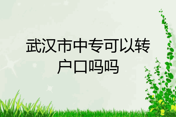 武汉市中专可以转户口吗吗