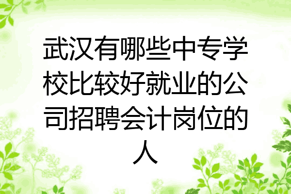 武汉有哪些中专学校比较好就业的公司招聘会计岗位的人