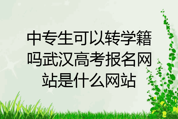 中专生可以转学籍吗武汉高考报名网站是什么网站