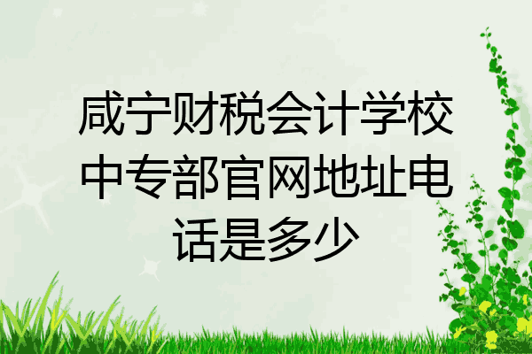 咸宁财税会计学校中专部官网地址电话是多少