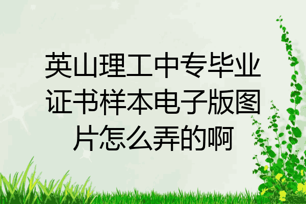 英山理工中专毕业证书样本电子版图片怎么弄的啊