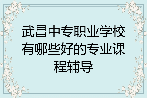 武昌中专职业学校有哪些好的专业课程辅导