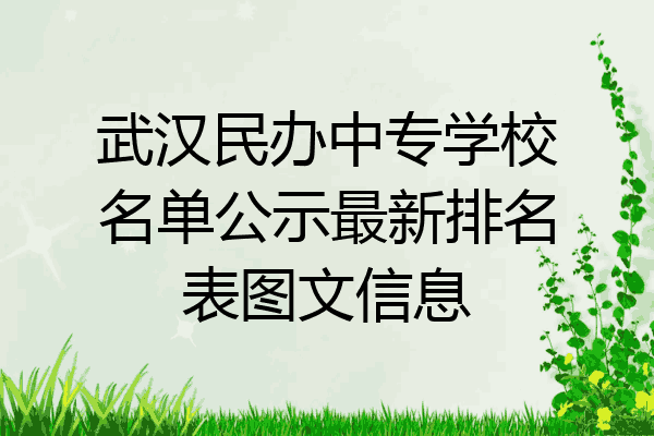 武汉民办中专学校名单公示最新排名表图文信息