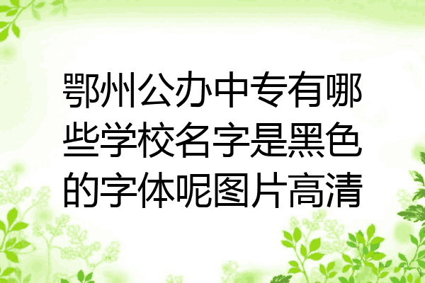 鄂州公办中专有哪些学校名字是黑色的字体呢图片高清