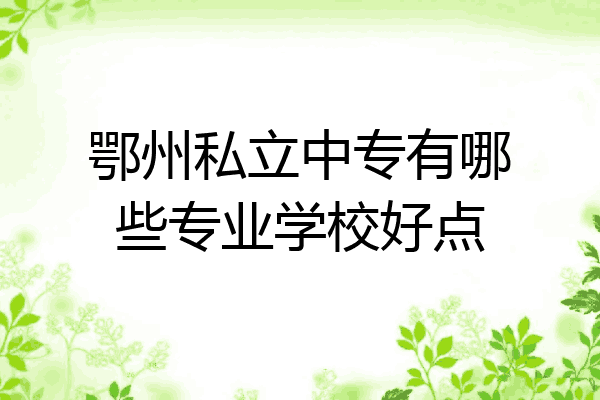 鄂州私立中专有哪些专业学校好点