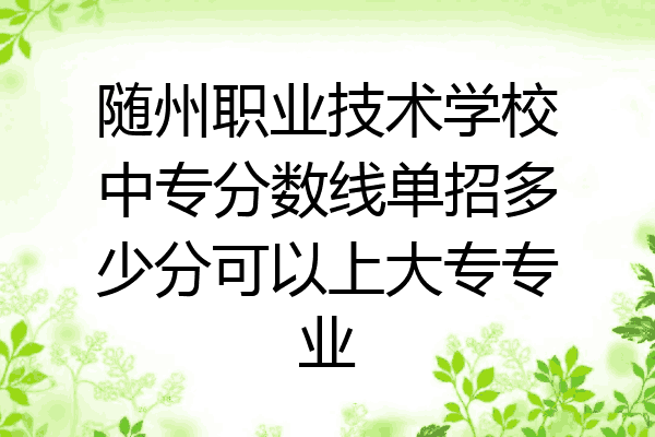 随州职业技术学校中专分数线单招多少分可以上大专专业