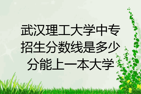 武汉理工大学中专招生分数线是多少分能上一本大学