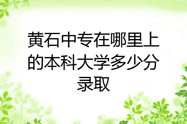 黄石中专在哪里上的本科大学多少分录取