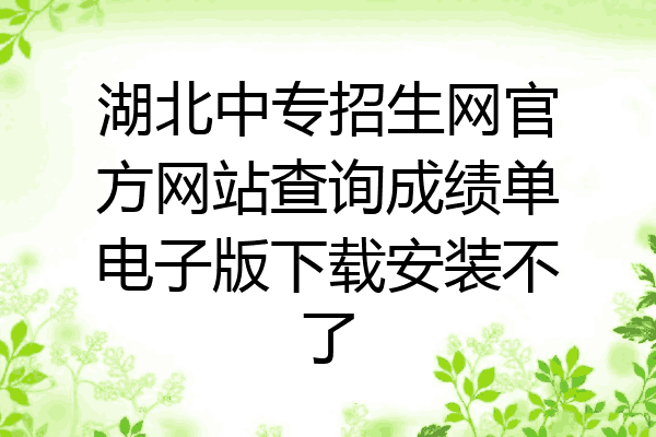 湖北中专招生网官方网站查询成绩单电子版下载安装不了