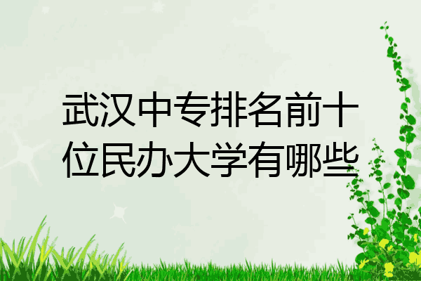 武汉中专排名前十位民办大学有哪些
