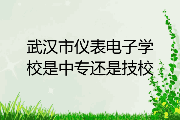 武汉市仪表电子学校是中专还是技校