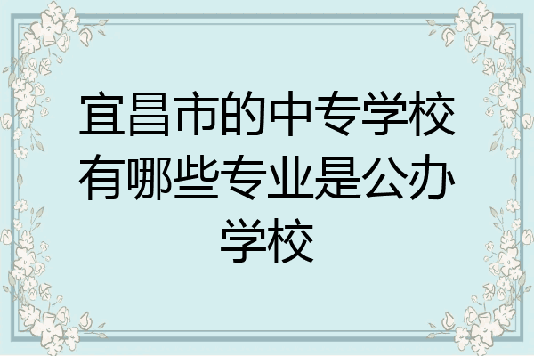 宜昌市的中专学校有哪些专业是公办学校