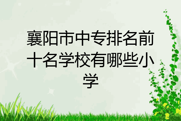 襄阳市中专排名前十名学校有哪些小学
