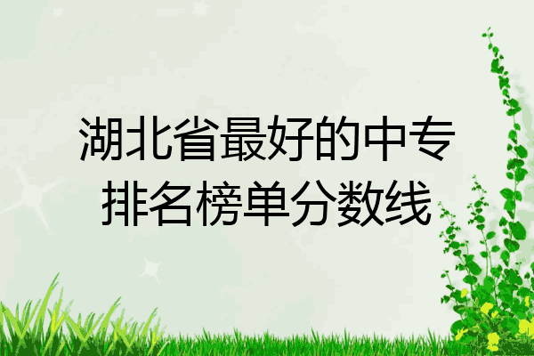 湖北省最好的中专排名榜单分数线