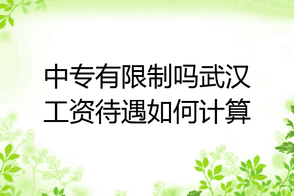 中专有限制吗武汉工资待遇如何计算