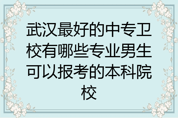 武汉最好的中专卫校有哪些专业男生可以报考的本科院校