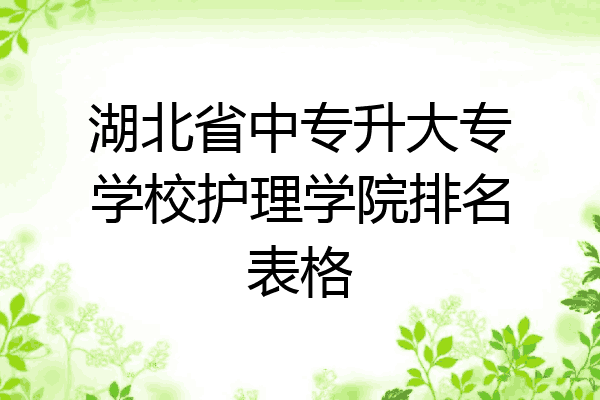 湖北省中专升大专学校护理学院排名表格