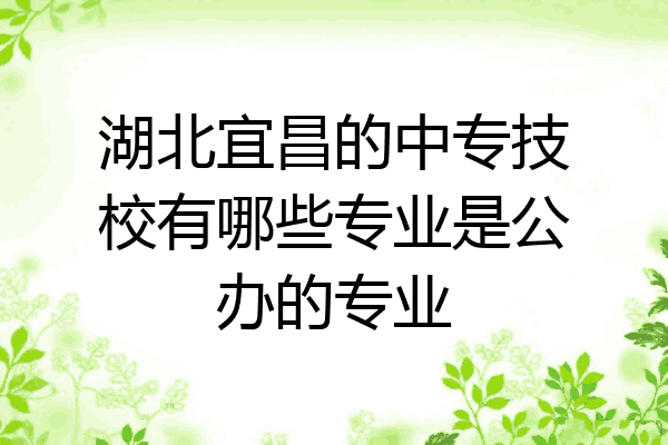 湖北宜昌的中专技校有哪些专业是公办的专业