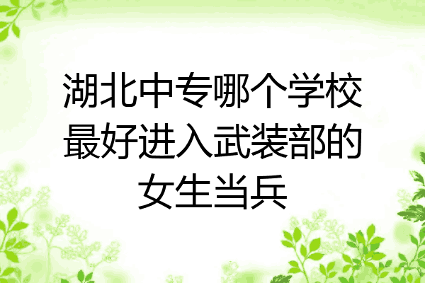 湖北中专哪个学校最好进入武装部的女生当兵