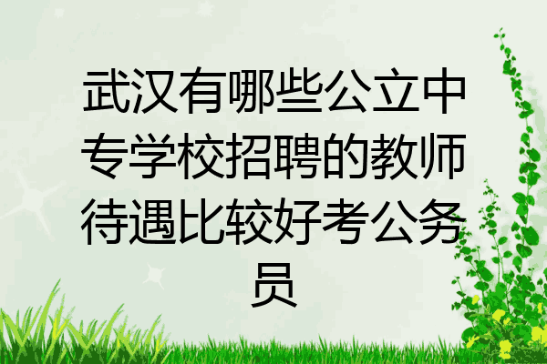 武汉有哪些公立中专学校招聘的教师待遇比较好考公务员