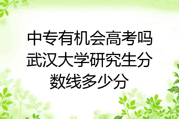 中专有机会高考吗武汉大学研究生分数线多少分