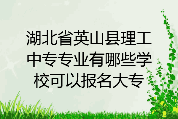 湖北省英山县理工中专专业有哪些学校可以报名大专