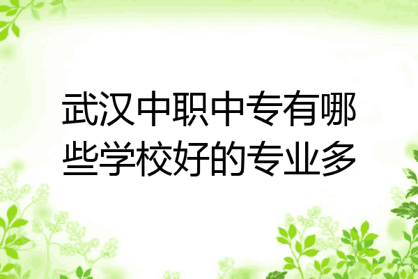 武汉中职中专有哪些学校好的专业多