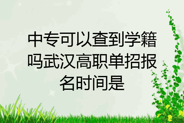中专可以查到学籍吗武汉高职单招报名时间是