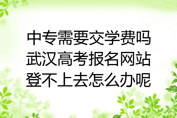 中专需要交学费吗武汉高考报名网站登不上去怎么办呢