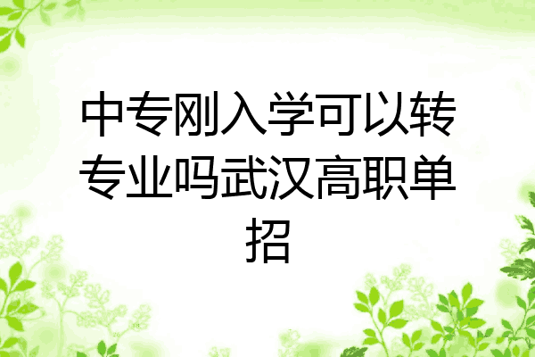 中专刚入学可以转专业吗武汉高职单招