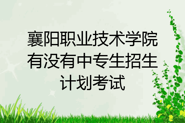 襄阳职业技术学院有没有中专生招生计划考试
