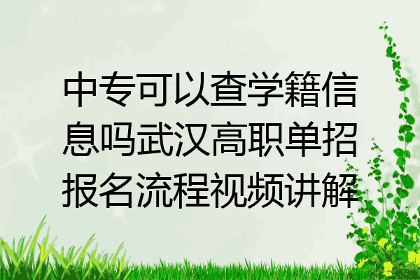 中专可以查学籍信息吗武汉高职单招报名流程视频讲解
