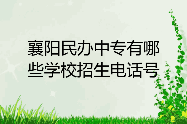 襄阳民办中专有哪些学校招生电话号